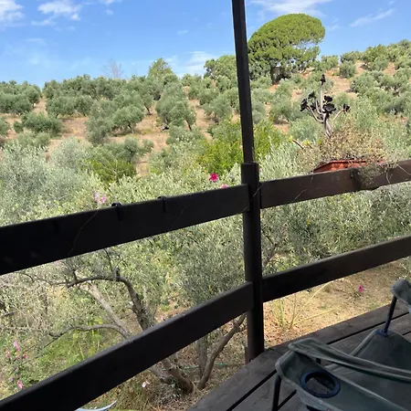Cortijo Alhijra Big Yourte Οργανωμένο κάμπινγκ