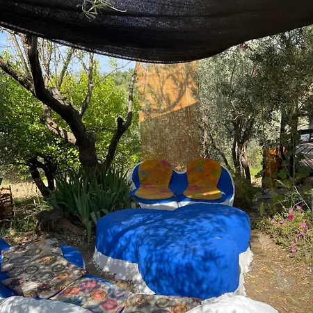 Cortijo Alhijra Big Yourte